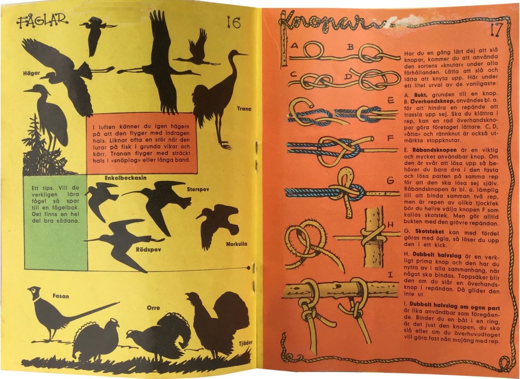 Gröngölingens handbok:  Sidan 16-17: Fåglar, Knopar. ©Hemmets Journal