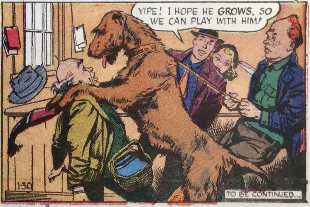Stub blir något överraskad när han ska ta sig an en valp som en vän skickat till honom att ta hand om. En serieruta från 30 januari 1949. ©NEA/Picture This Press